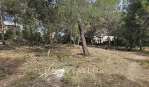 Sale Plot of land Santa Ponsa