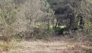Sale Plot of land Santa Ponsa