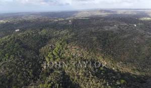 Sale Plot of land São Francisco da Serra