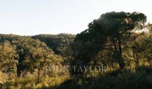 Sale Plot of land São Francisco da Serra