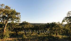 Sale Plot of land São Francisco da Serra