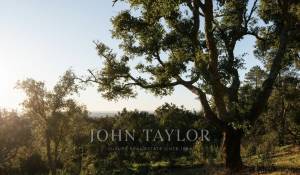 Sale Plot of land São Francisco da Serra