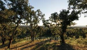 Sale Plot of land São Francisco da Serra