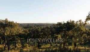 Sale Plot of land São Francisco da Serra