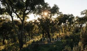 Sale Plot of land São Francisco da Serra