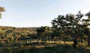 Sale Plot of land São Francisco da Serra