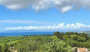 Sale Plot of land Sesimbra