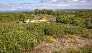 Sale Plot of land Sesimbra