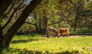 Sale Property Aix-en-Provence