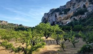 Sale Property Alaior