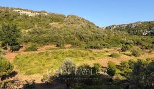 Sale Property Alaior