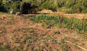Sale Property Alaior