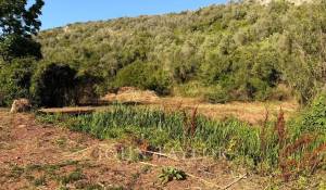 Sale Property Alaior