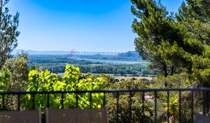 Sale Property Avignon