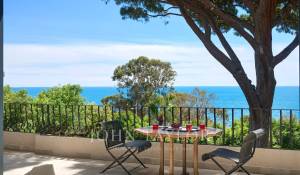 Sale Property Cannes