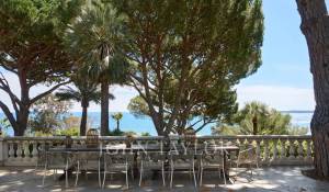 Sale Property Cannes