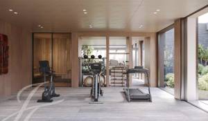 Sale Property Collonge-Bellerive