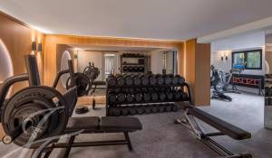 Sale Property Cologny