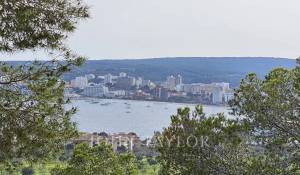 Sale Property Costa d'En Blanes