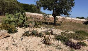 Sale Property Es Mercadal