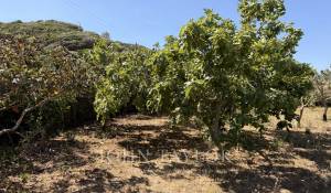 Sale Property Es Mercadal