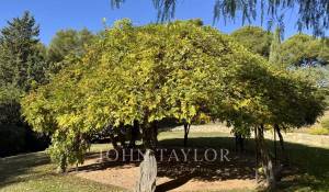 Sale Property La Cadière-d'Azur