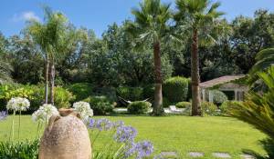 Sale Property La Colle-sur-Loup