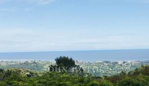 Sale Property La Colle-sur-Loup