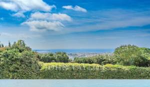 Sale Property Le Cannet