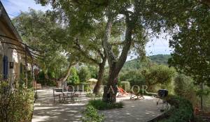 Sale Property Mandelieu-la-Napoule