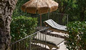 Sale Property Mandelieu-la-Napoule