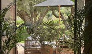 Sale Property Marrakech