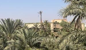 Sale Property Marrakech