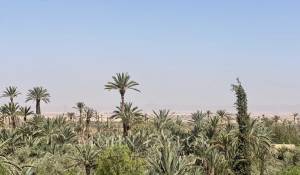 Sale Property Marrakech