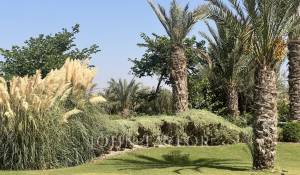 Sale Property Marrakech