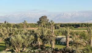 Sale Property Marrakech