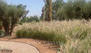 Sale Property Marrakech