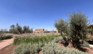 Sale Property Marrakech