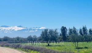 Sale Property Marrakech