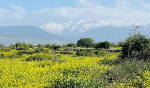 Sale Property Marrakech