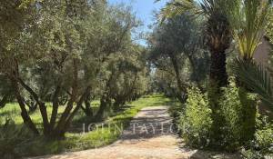 Sale Property Marrakech