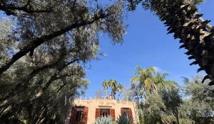 Sale Property Marrakech
