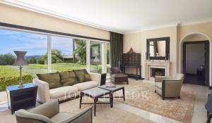 Sale Property Nice