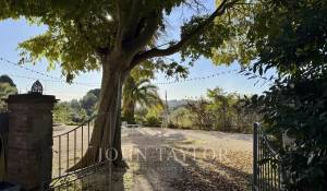 Sale Property Ollioules