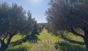 Sale Property Ollioules