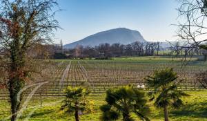 Sale Property Presinge