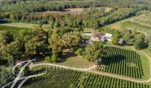 Sale Property Sadirac