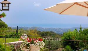 Sale Property Saint-Paul-de-Vence