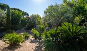 Sale Property Saint-Tropez