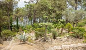 Sale Property Simiane-Collongue